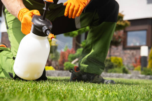 Best Flea Control Services  in Odessa, TX