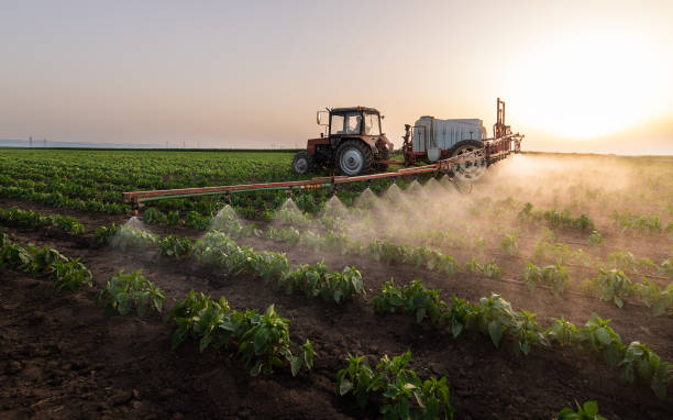 Best Pest Control for Businesses  in Odessa, TX