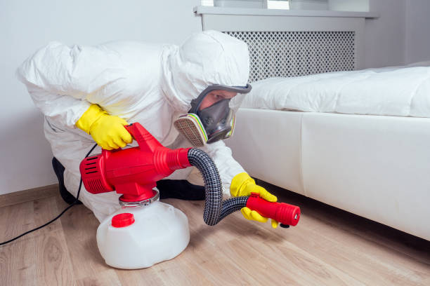 Best Affordable Pest Control Services  in Odessa, TX