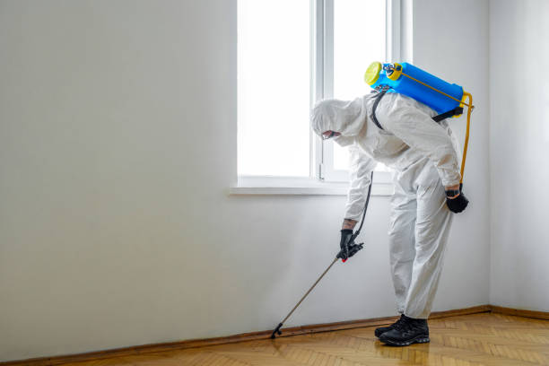 Best Exterminator Services  in Odessa, TX