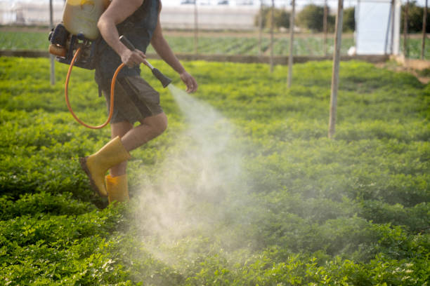 Trusted Odessa, TX Pest Control Experts