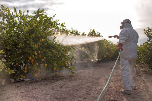 Best Commercial Pest Control Services  in Odessa, TX