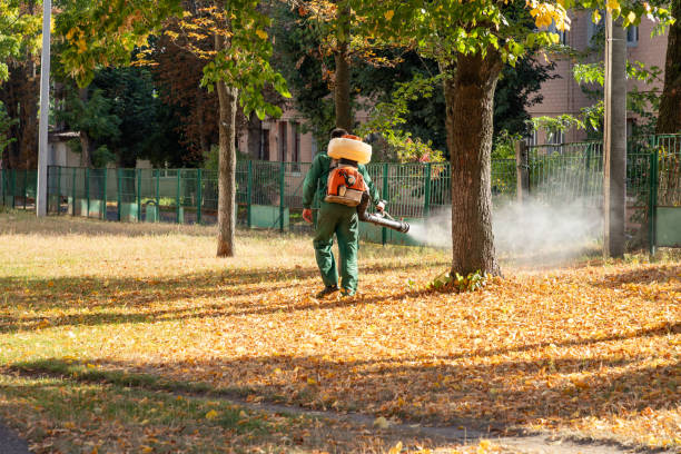 Best Termite Control Services  in Odessa, TX