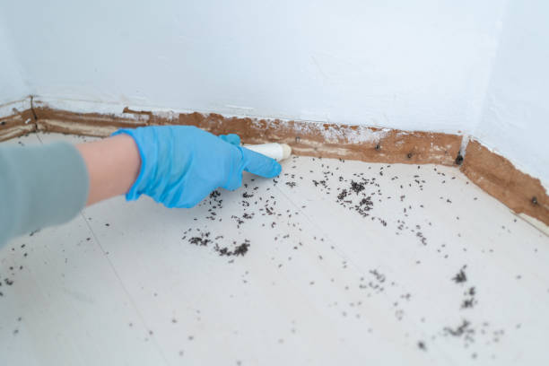 Best Pest Removal Services  in Odessa, TX