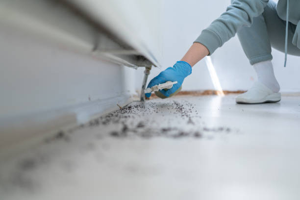 Best Cockroach Control Services  in Odessa, TX