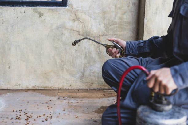 Best Best Pest Control Companies  in Odessa, TX